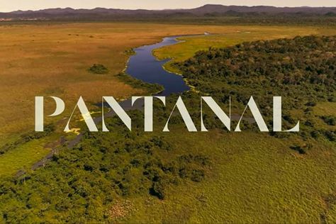 Pantanal, Water, Reality Shows, Country Roads, Lockscreen Screenshot, Road