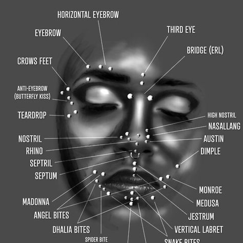 Face Piercing Chart, Black and White Piercing Guide Face, Lip Piercing Placement Chart, Piercings Face Chart, Piercing Map Face, All Facial Piercings, All Face Piercings Chart, Eyebrow Piercing Chart, Piercings Chart Face, Different Facial Piercings