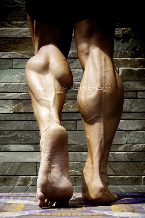 Amazing calves 남성 근육, Leg Anatomy, Man Anatomy, Human Anatomy Drawing, Muscle Anatomy, Human Anatomy Art, Anatomy Poses, Anatomy For Artists, Body Reference Poses