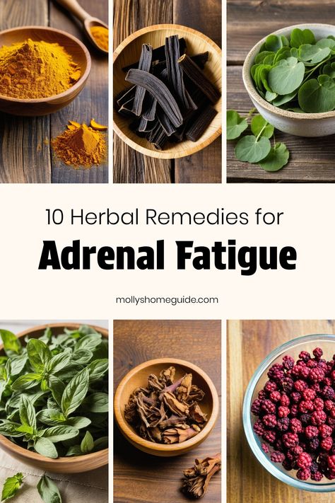 Discover natural support for adrenal fatigue with these best herbs and remedies. Explore adaptogenic herbs, herbal teas, and essential oils that may help relieve adrenal fatigue symptoms. These medicinal herbs offer adrenal support to combat low energy levels. Try DIY blends or supplements for adrenal fatigue relief. Embrace the power of nature with these effective solutions for managing adrenal fatigue in a healthy way. Nature, Adrenal Fatigue Symptoms Remedies, Supplements For Energy, Adrenal Fatigue Supplements, Fatigue Remedies, Adrenal Fatigue Symptoms, Fatigue Symptoms, Adrenal Support, Adaptogenic Herbs