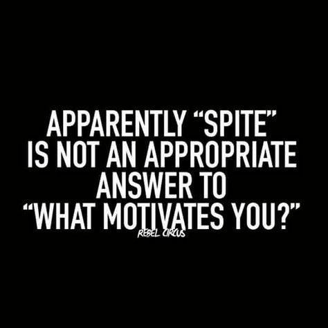 Apparently "spite" is not an appropriate answer to "what motivates you?" Work Humour, Humour, Oscar Wilde, Funny Signs, Sarcastic Quotes Funny, Twisted Humor, E Card, Work Humor, Sarcastic Humor