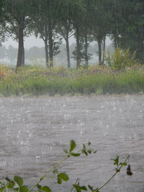 Rain love... Rainy Day Aesthetic, Smell Of Rain, Matka Natura, I Love Rain, Rain Days, Rain Rain, Love Rain, Rainy Night, Summer Rain