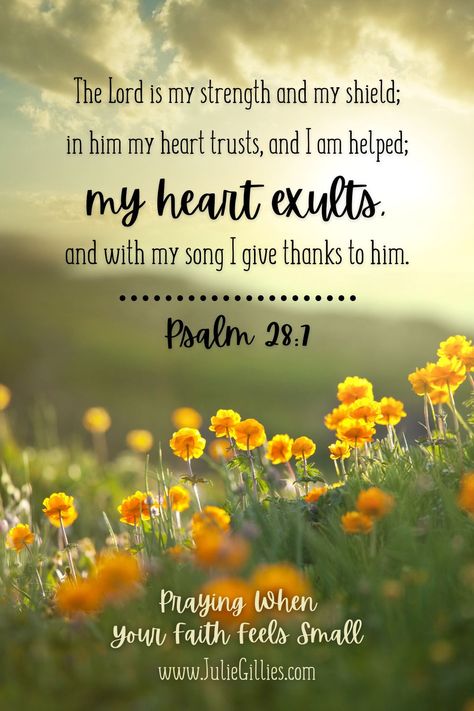 Psalm 28:7 Prayer - Lord, when I feel weak and overwhelmed, help me to remember that You are my strength and shield. I don’t have to figure everything out. I don’t have to worry. I don’t have to stress. I can and will trust You, rely on You, and confidently lean on You. Thank you for helping me, Lord. In the strong name of Jesus, Amen. Devotional Blog Post - Praying When Your Faith Feels Small God Is The Strength Of My Heart, You Are My Strength When I Am Weak, My Help Comes From The Lord, Psalm 28:7, I Feel Weak, Psalms 28 7, Prayer For Strength, Psalm 7, Sunday Prayer