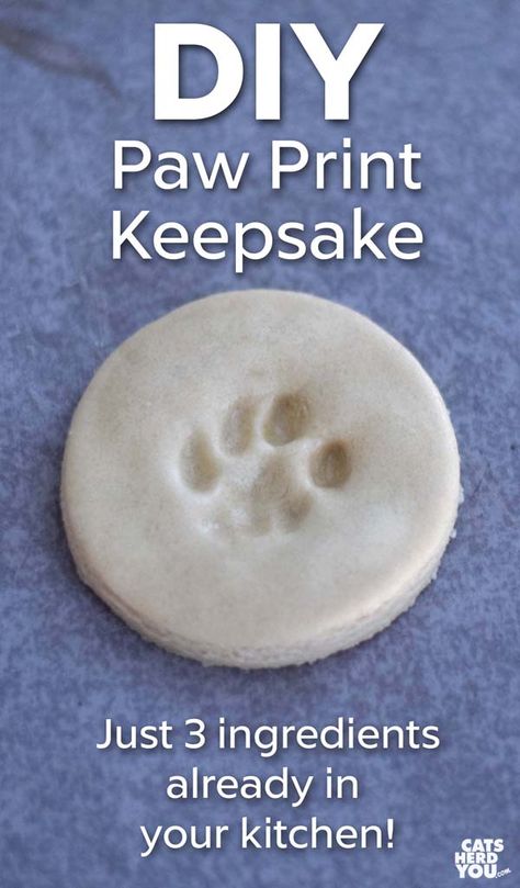 Dog Paw Imprint Diy, Crafts To Do With Your Cat, Paw Print Ornament Diy Dough Recipe, Dog Paw Clay Print, Cute Dog Diy Projects, Paw Imprint Diy, Diy Paw Print Mold, How To Make A Paw Print Mold, Diy Clay Paw Print