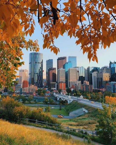 Tour Canada 🇨🇦 on Instagram: “Autumn in Calgary, Alberta🍂🍁❤️ photo by @luislabinijr #tourcanada” Los Angeles, Canada City, Humans And Animals, Canada Holiday, Toronto City, Calgary Alberta Canada, Calgary Canada, Canada Road Trip, Instagram Autumn