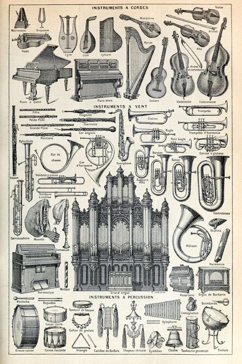 Music Orchestra, Visuell Identitet, Brass Instruments, Woodwind Instruments, Musical Art, Illustration Vintage, String Instruments, Music Print, Antique Prints