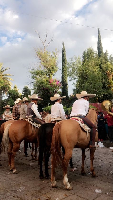 Travel, Mexico, Animals, Horses, Mexico Countryside, Jerez Zacatecas