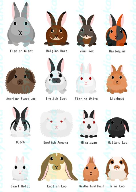 Kawaii, Bunny Breeds, Mouse Pointer, Pet Rabbit Care, Rabbit Names, Rabbit Clipart, Pet Bunny Rabbits, Rabbit Breeds, Indoor Rabbit