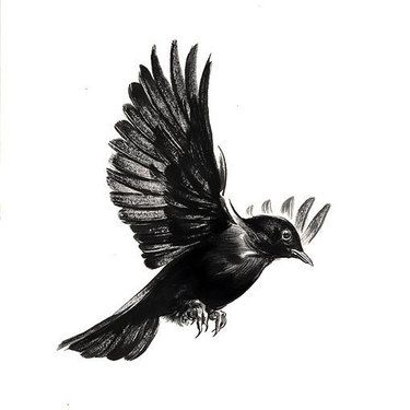 99+ Coolest Bird Tattoo Designs Herren Hand Tattoos, Tattoo Son, Fly Drawing, Vogel Tattoo, Flying Tattoo, Black Bird Tattoo, Tattoo Bird, Small Bird Tattoo, Crow Tattoo