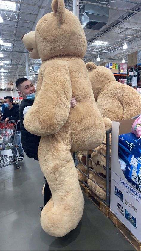 6ft Teddy Bear, Costco Bear, Weeknd Songs, Huge Teddy Bears, Teady Bear, Fluffy Teddy Bear, Giant Stuffed Animals, Large Teddy Bear, Big Teddy Bear