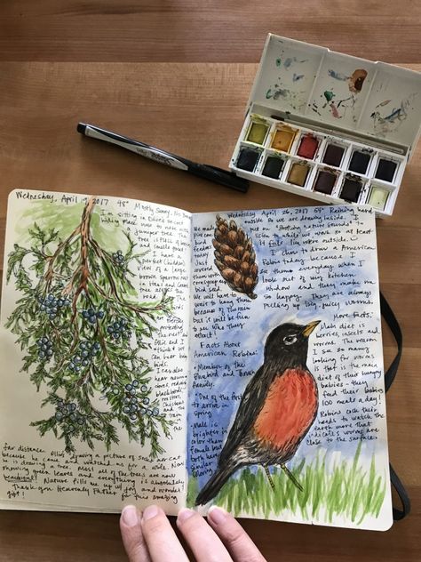 Croquis, Journal Routine, Nature Sketching, Homeschool Nature, Sketching Painting, Birding Journal, Botanical Sketchbook, Field Journal, Nature Journaling