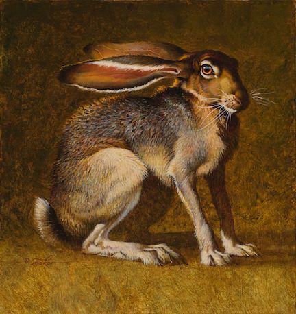 Ezra Tucker, Rabbit Anatomy, Hare Pictures, Unrealistic Wishlist, Hare Watercolour, Hare Illustration, Rare Rabbit, Hare Painting, Wild Hare