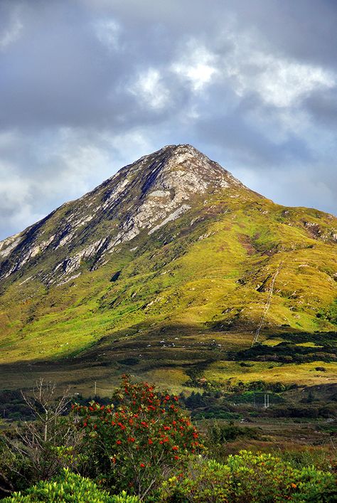 Connemara Ireland, County Galway, Galway Ireland, Irish Men, Galway, My Heritage, 12th Century, Landscape Art, Beautiful Landscapes