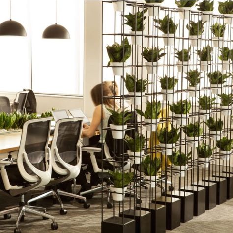 Living Walls, Green Office Decor, Plant Office Design, Living Wall Diy, Cozy Office, Open Space Office, Modern Office Space, Beautiful Office, Modern Office Design