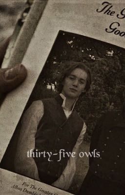 Read I from the story {Thirty-Five Owls} by marauderseramostly (Lily) with 699 reads. grindelwald, nurmengard, harrypot... Harry Potter Prequel, Fantastic Beasts Series, Toby Regbo, Gellert Grindelwald, Gay Harry Potter, Newt Scamander, Eddie Redmayne, Hogwarts Mystery, Fantastic Beasts And Where