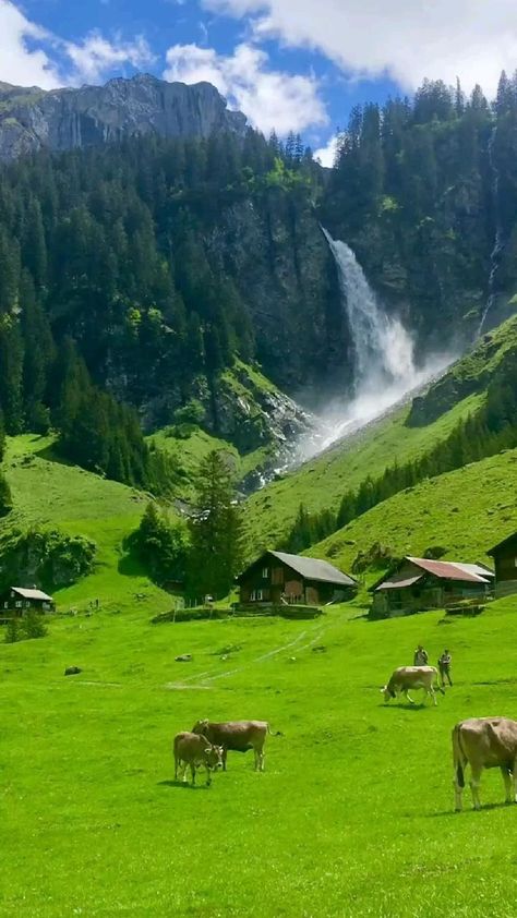 Lukisan Lanskap, Drømme Liv, Places In Switzerland, Pretty Landscapes, Nature View, Dream Travel Destinations, Alam Yang Indah, Nature Aesthetic, Beautiful Places To Travel