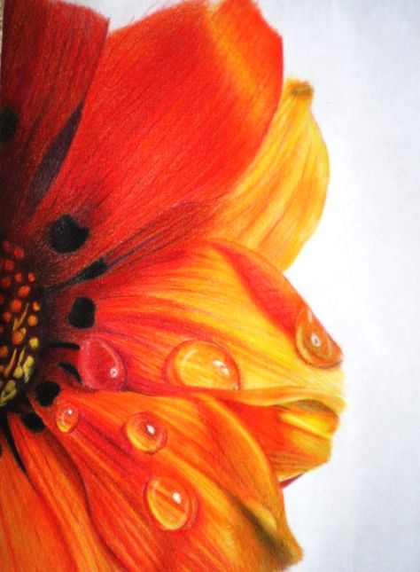 35 Beautiful Flower Drawings and Realistic Color Pencil Drawings | Read full article: http://webneel.com/flower-drawings | more http://webneel.com/drawings | Follow us www.pinterest.com/webneel Pencil Drawing Tutorials, Flower Drawings With Color, Realistic Flower Drawing, Simple Flower Drawing, Pencil Drawings Of Flowers, Color Pencil Sketch, Beautiful Flower Drawings, Flower Drawings, Drawing Color