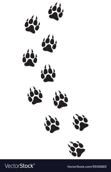 Wolf Print Paw, Wolverine Paw Print, Wolf Tracks Tattoo, Wolf Paw Tattoo For Women, Lion Paw Drawing, Wolf Claw Tattoo, Wolverine Animal Drawing, Wolf Paw Drawing, Wolf Paw Print Tattoo