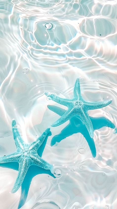 Aesthetic Sea Life Wallpaper, Turquoise Ocean Aesthetic, Pool Iphone Wallpaper, Cute Ocean Animals Aesthetic, Blue Summer Aesthetic Widgets, Marine Wallpaper Iphone, Summer Wallpaper Iphone Preppy, Aesthetic Ocean Wallpaper Iphone, Aesthetic Wallpaper Samsung Tablet