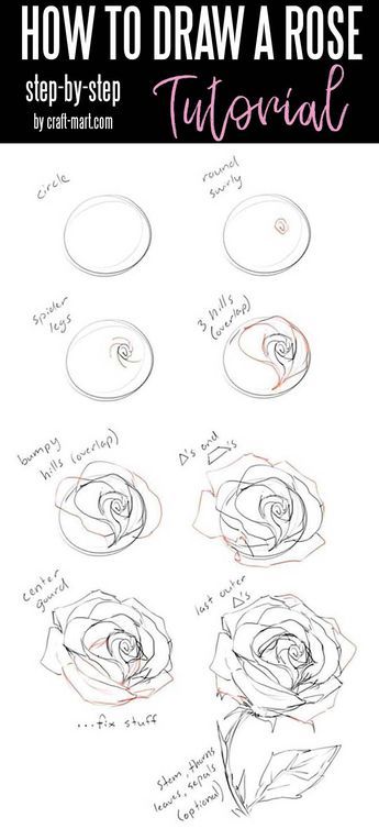 Drawing Hands, Drawing Hair, Ako Kresliť, Draw A Rose, Rose Step By Step, How To Draw Flowers, Organizator Grafic, Draw Flowers, Pencil Sketch Drawing