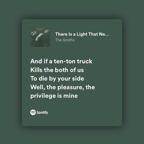 There Is A Light That Never Goes Out Spotify, Maya Adler, Smiths Lyrics, The Smiths Lyrics, Male Manipulator, Will Smith Quotes, Relatable Lyrics, Lyric Poetry, Redeeming Love