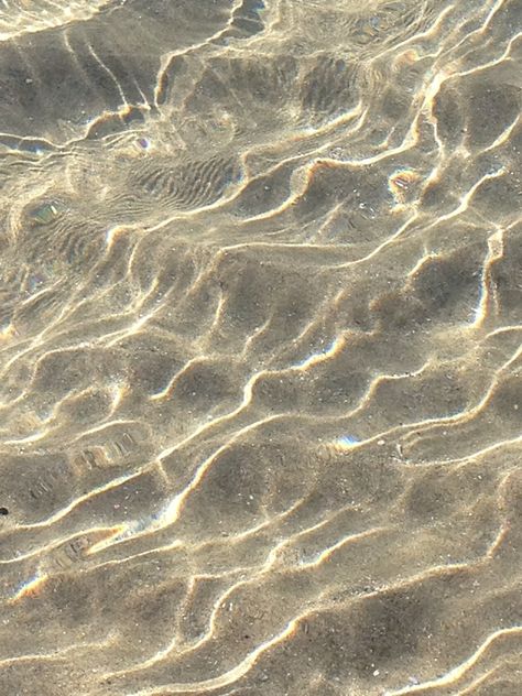 Elise Valdorcia Water Aesthetic, Water Reflections, Foto Vintage, Foto Art, Beige Aesthetic, Beach Aesthetic, Beach Vibe, Lalique, Summer Aesthetic