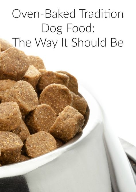 Wondering about Oven-Baked Tradition Dog Food? Check out the inside scoop and find out if this is the right natural kibble for your picky pooch! Dog Kibble Recipe, Dog Kibble, Baked Food, Diy Dog Food, Make Dog Food, Puppy Obedience Training, Doggie Treats, Dog Nutrition, Healthy Dog Food Recipes