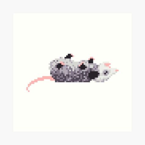 Opossum Pixel Art Possum Perler Beads, Opossum Pixel Art, Opossum Cross Stitch, Possum Cross Stitch Patterns, Possum Pixel Art, Possum Embroidery, Possum Cross Stitch, Bug Taxidermy, Snitches Get Stitches