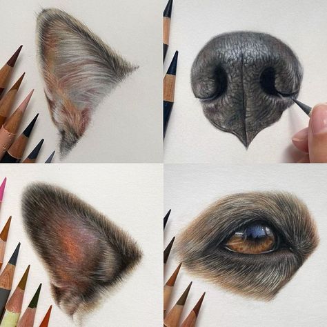 Dog Portrait Drawing, Dog Drawing Tutorial, Abstract Art Lesson, Drawing Instagram, Animal Paintings Acrylic, Pet Portrait Paintings, Dog Portraits Painting, Horse Eye, Pencil Drawings Of Animals