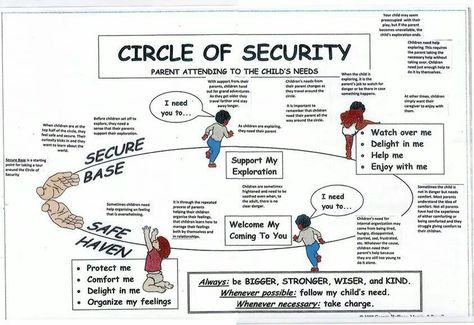 Circle of Security Child Development Psychology, Circle Of Security, Parent Functions, Clinical Social Work, Attachment Theory, Parenting Education, School Social Work, Conscious Parenting, Child Therapy