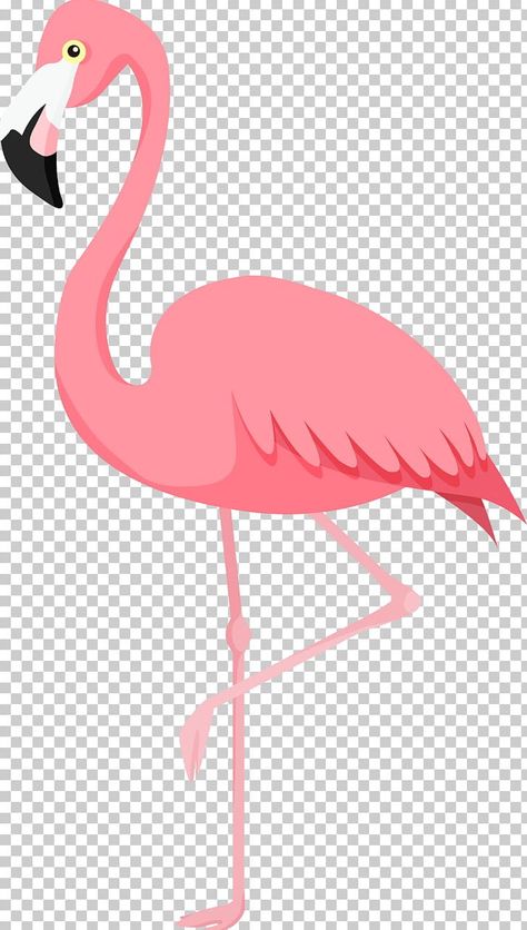 Flamingo Cartoon, Flamingo Clip Art, Flamingo Clipart, Behance Illustration, Bird Png, Flamingo Pictures, Flamingo Vector, Clipart Animals, Flamingo Design
