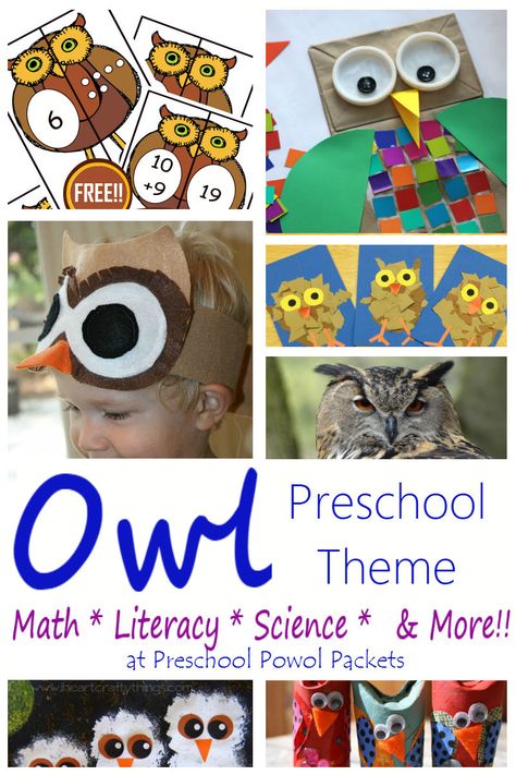 Loads of fun owl activities perfect for a preschool owl theme!! Great ideas for kindergarten and elementary ages too! Amigurumi Patterns, Owl Theme Preschool, Owl Unit Study, Owl Activities For Preschool, Preschool Teaching Ideas, Owls Kindergarten, Lesson Plans Kindergarten, Project Themes, Owl Preschool