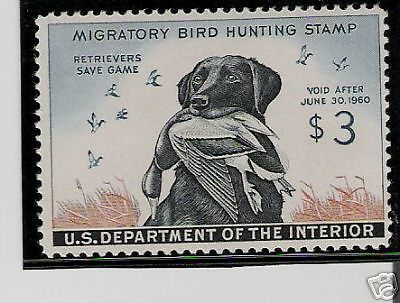 Federal duck stamp featuring a black lab. Waterfowl Hunting, Duck Stamp, Usa Stamps, Rare Stamps, Migratory Birds, Bird Stamp, Bird Hunting, Wildlife Artists, Duck Hunting