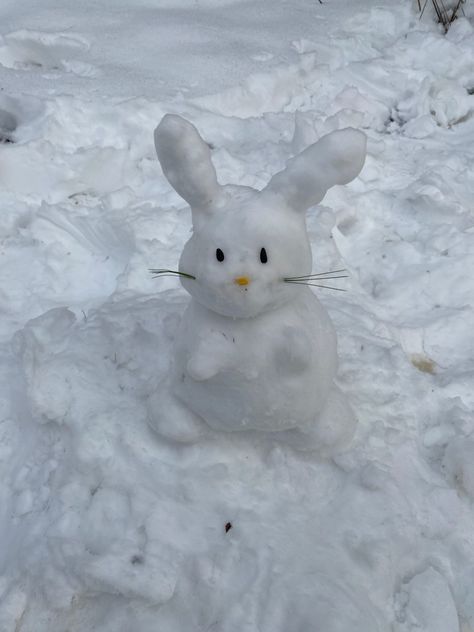 #snowman #snow #winter #bunny #rabbit #cute Bunnies In Snow, Snow Bunny Aesthetic, Bunny In Snow, Winter Widgets, Pet Bunnies, Snow Rabbit, Bunny Meme, Winter Bunny, Winter Rabbit