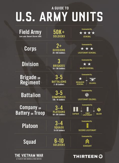 U.S. Army Units Explained: From Squads to Brigades to Corps Army Structure, Military Alphabet, Army Ranks, Military Tactics, Military Ranks, Army Infantry, Military Insignia, Military Units, Military Humor