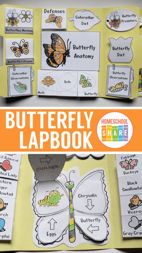 Free Butterfly Unit Study, Butterfly Unit Study Kindergarten, Free Lapbooks Printables, Lapbook Ideas Creativas, Free Lapbooks, Weather Lapbook, Lapbooks Free, Butterfly Unit Study, Homeschool Lapbooks