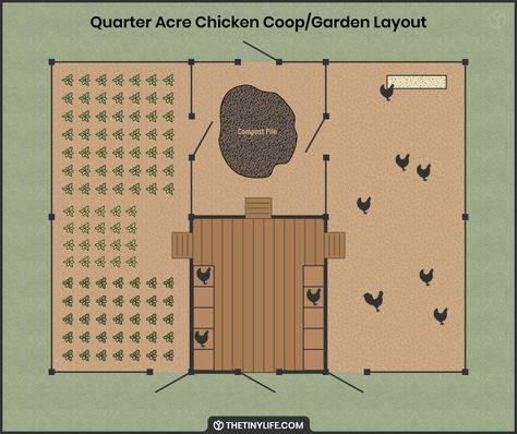 Chicken Coop By Garden, Garden Chicken Coop Layout, Sunflower Chicken Coop, Vegetable Garden Design With Chicken Coop, Greenhouse Coop Combo, Chicken Coop Garden Layout, Vegetable Garden And Chicken Coop, Homestead Animal Layout, Underground Chicken Coop