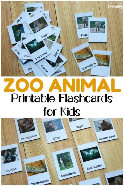 Help early learners get to know some of the wild creatures who live at the zoo with these printable zoo animal flashcards for kids! #learning #education #science #animals #homeschool #homeschooling #biology Montessori, Zoo Vocabulary Preschool, Zoo Animals Worksheets Preschool, Homeschool Goals, Zoo Animals Preschool, Zoo Preschool, Zoo Crafts, Zoo Animal Crafts, Flashcards For Toddlers