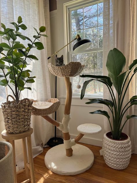 Amazon.com : Real Wood Modern Cat Tree Tower for Indoor Cats Large Adult, Wooden Cat Tower with Scratching Post and Bed, Boho Aesthetic Tall Luxury Cat Furniture, Kitty Climbing Tower by Rio & Roxy : Pet Supplies Luxury Cat Furniture, Wooden Cat Tree, Apartment Pet, Chat Diy, Cool Cat Trees, Modern Cat Tree, Cat Towers, Cat Tree Condo, Cat Bed Furniture