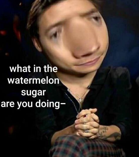 Harry Styles, Memes, Funny Harry Styles, Harry Styles Memes, Harry Styles Funny, Reaction Pic, Watermelon Sugar, Mood Pics, Watermelon