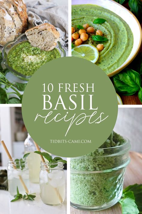 If your garden is abundant with basil, let's explore what to make with fresh basil with these 10 yummy fresh basil recipes. Basil Fish Recipes, Lemon Basil Recipes, Basil Recipes Healthy, Basil Recipes Vegan, Basil Drinks, Benefits Of Basil, Basil Hummus, Basil Smoothie, Fresh Basil Recipes