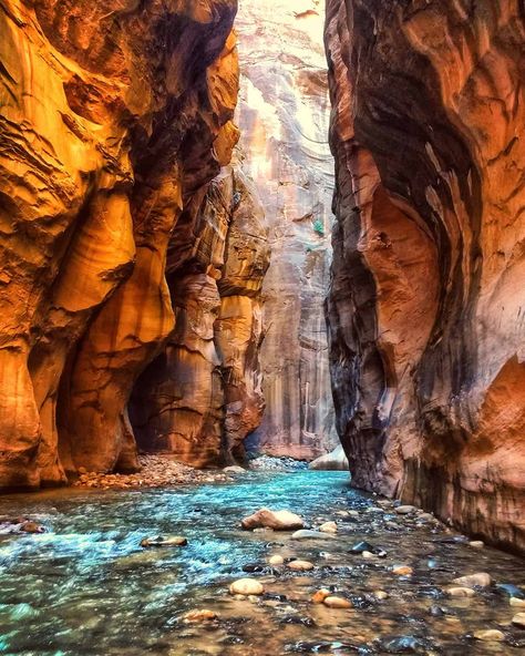 Zion Narrows Hike, Zion National Park Photography, Narrows Zion National Park, The Narrows Zion, Utah Bucket List, Zion National Park Hikes, Hiking The Narrows, Matka Natura, Utah Road Trip