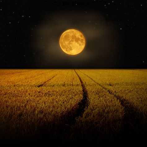 Short Stories, Corn Moon, Autumnal Equinox, Harvest Moon, Mystery Thriller, Working Late, Short Story, Stars And Moon, Full Moon