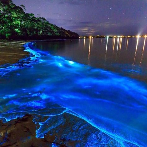 10 Lugares en Puerto Escondido que te van a volar la cabeza | Colecciona Experiencias Sea Of Stars, Merritt Island, Puerto Escondido, Hidden Beach, Geocaching, Natural Phenomena, Magical Places, Amazing Destinations, Places Around The World