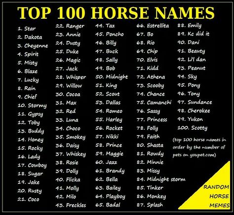 . Pretty Horse Names, Bloxburg Horse Riding Codes, Good Horse Names, Horses Names Ideas, Star Stable Horse Names, Gelding Horse Names, Minecraft Swem Horse, Cute Horse Names, Names For Horses