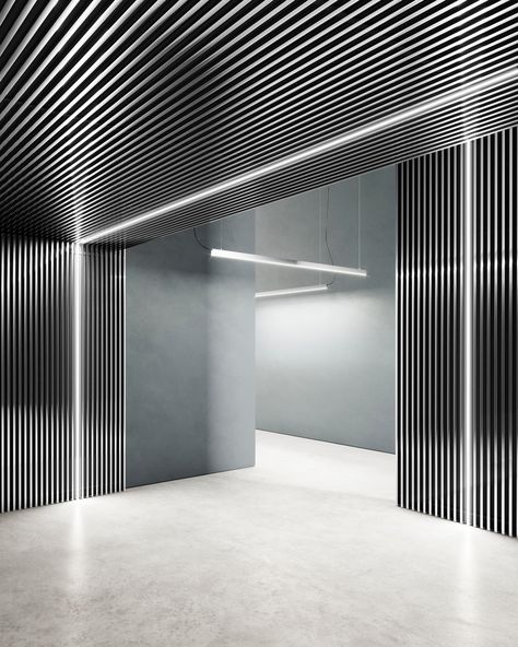 Stripe club: Dresswall Stripe Wall, Elevator Design, Store Design Boutique, Easy Backdrops, Modular Structure, Dimmable Led Lights, Linear Lighting, Contemporary House Design, Extruded Aluminum