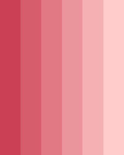 Flirty Red Monochromatic Color Palette Pinks And Reds, Red Aesthetic Palette, Pink To Red Color Palette, Monochromatic Pink Color Palette, Red Palette Aesthetic, Cute Pink Color Palette, Red Pink Color Scheme, Pink Red Colour Palette, Pink And Red Color Scheme