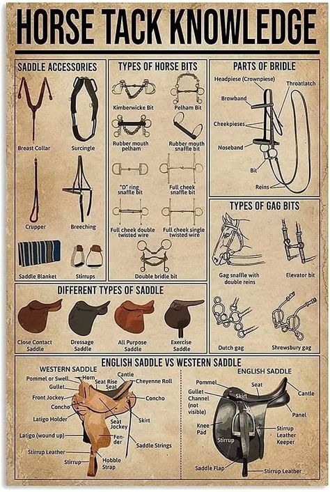 Horse Tips, Horse Nails, Home Kitchen Bar, Club Decor, Horse Facts, Horse Info, Types Of Horses, Hiasan Bilik, Tin Metal