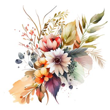 Botanical Flowers Png, Digital Flowers Png, Flower Vector Png, Fennel Flower, Watercolor Blossom, Flowers Png Transparent, Vintage Flower Bouquet, Watercolor Flowers Png, Drawn Roses