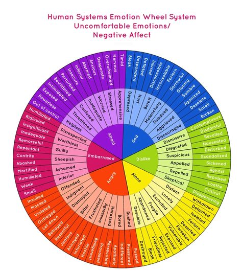 Use the “Emotion Wheel” to get in Touch with Your Feelings | Adoption Detective: Memoir of an Adopted Child Albert Einstein, Emotion Wheel, Human Systems, Emotions Wheel, Feelings Wheel, Emotion Chart, Feelings Chart, Dissociation, Emotional Awareness